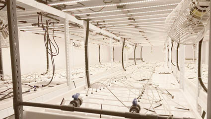 vertical grow systems